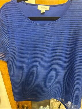 Calvin Klein Royal Blue Sheer-Striped Short Sleeve Top with solid liner.